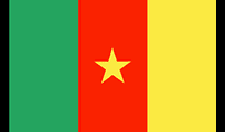 Cameroon Flag