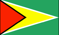 Guyana Flag