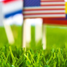 Country Flag